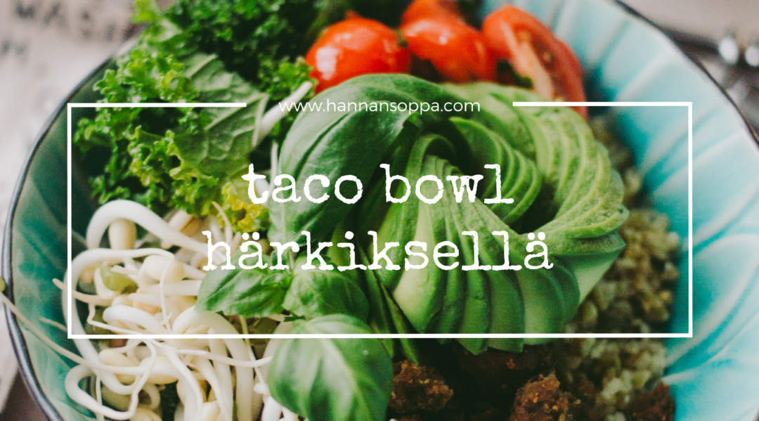 Taco Bowl / Hannan soppa